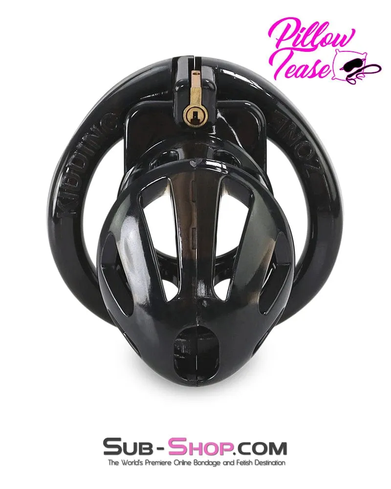 0427AR      Small Black Cage High Security Cock Lock Chastity Device