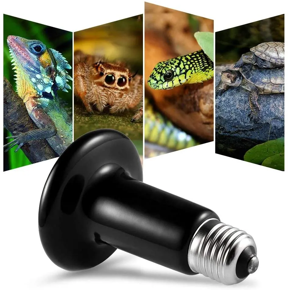 100W E27 Infrared Terrarium Reptile Heat Lamp for tuertles, turtles