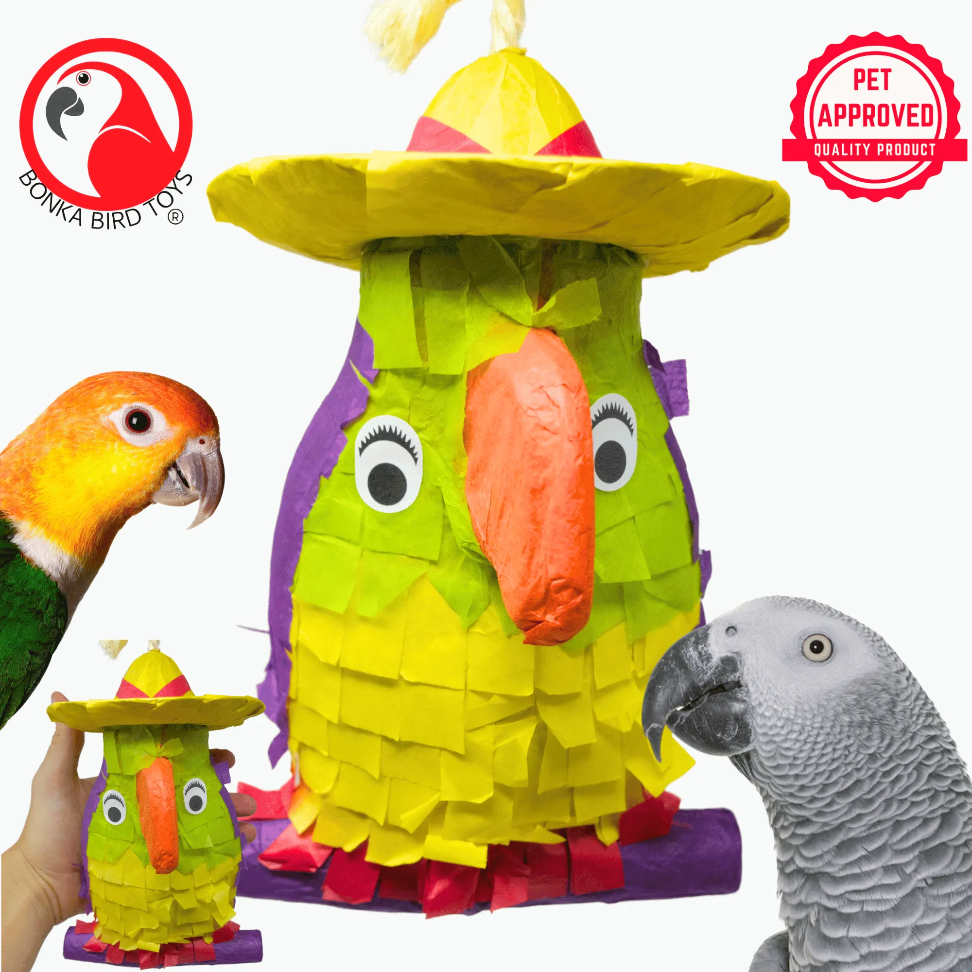 2587 Pinata Parrot