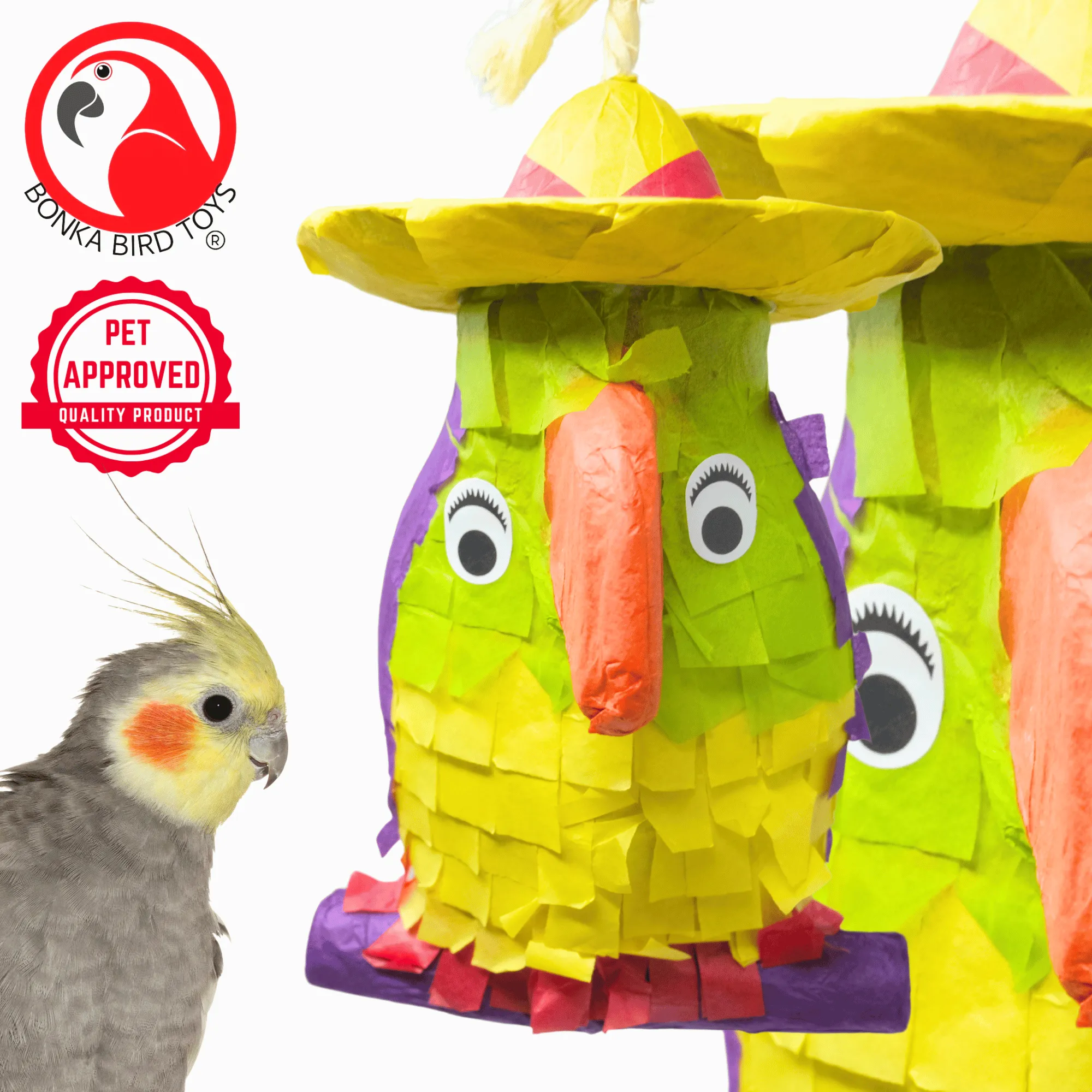 2587 Pinata Parrot