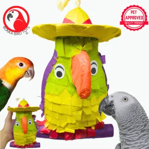 2587 Pinata Parrot