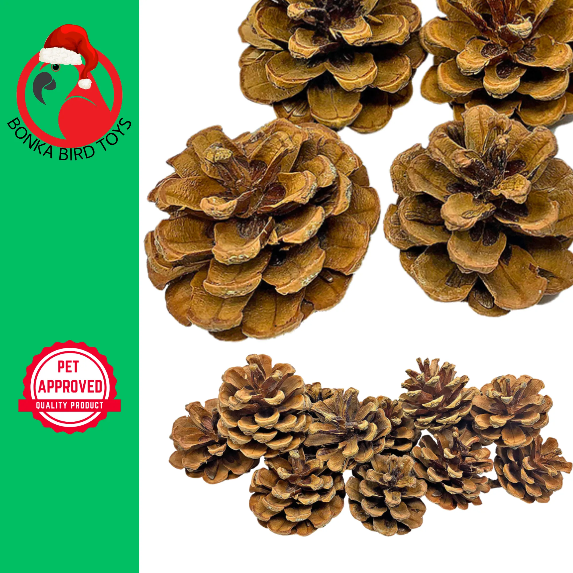 3284 Pk12 Natural Pinecones