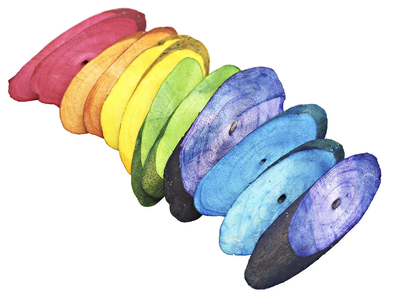 3402 Pk12 Rainbow Sola Slices