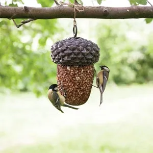 Acorn Bird Feeder