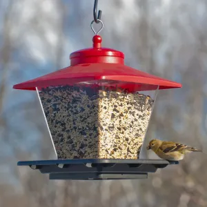 Audubon Plastic Cafe Bird Feeder - 4 Ports