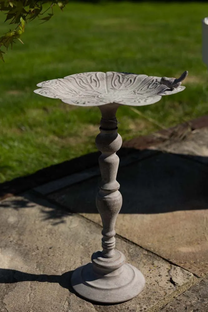 Beautiful Bird Bath On Stand