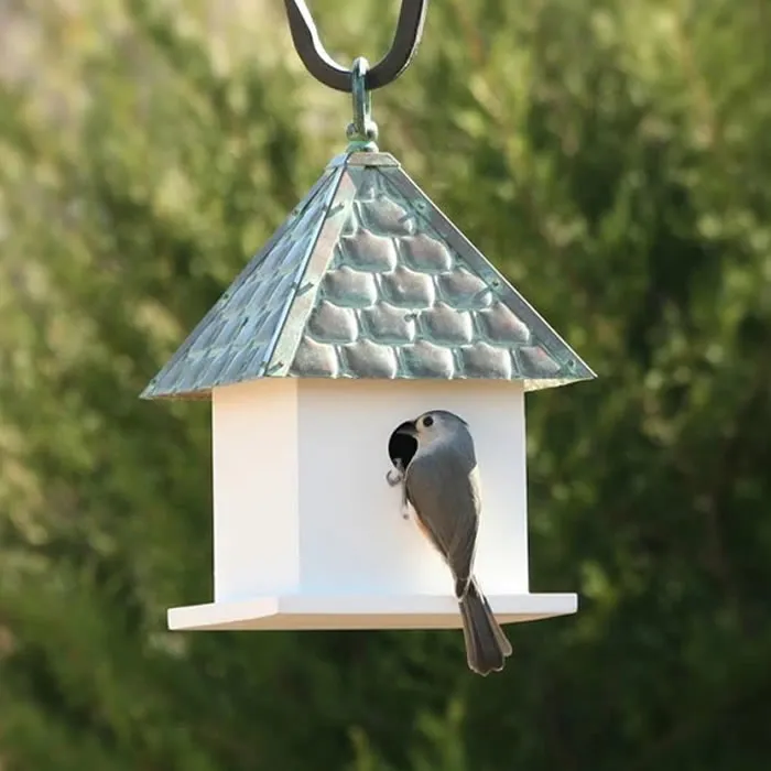 Bird House Bungalow with Shingled Verdigris Roof