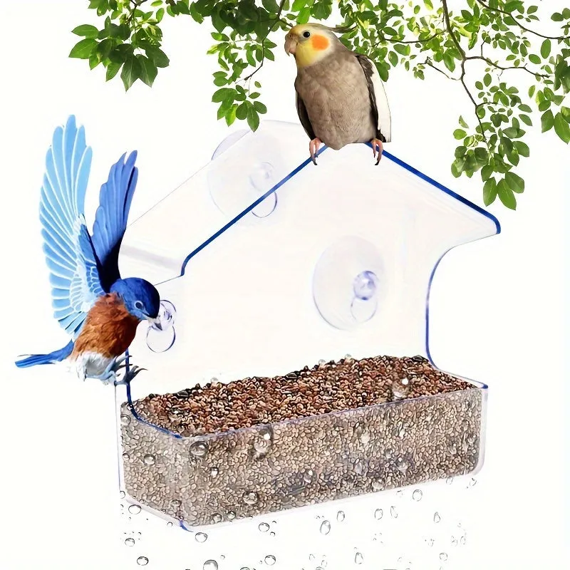 Clear Plastic Window Bird Feeder Bring Nature Indoors