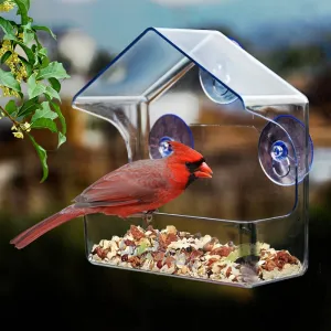 Clear Plastic Window Bird Feeder Bring Nature Indoors