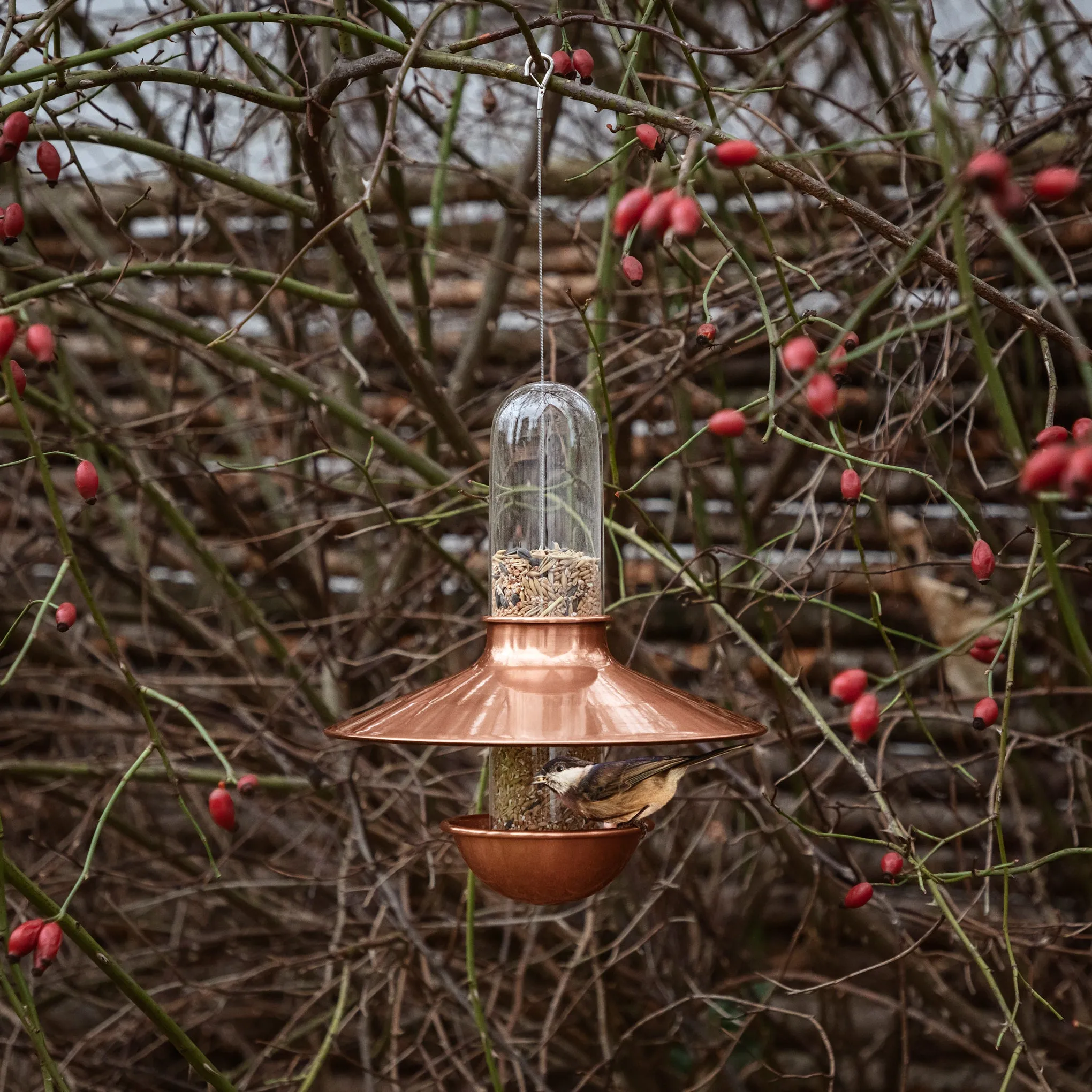 Copper Bird Feeder