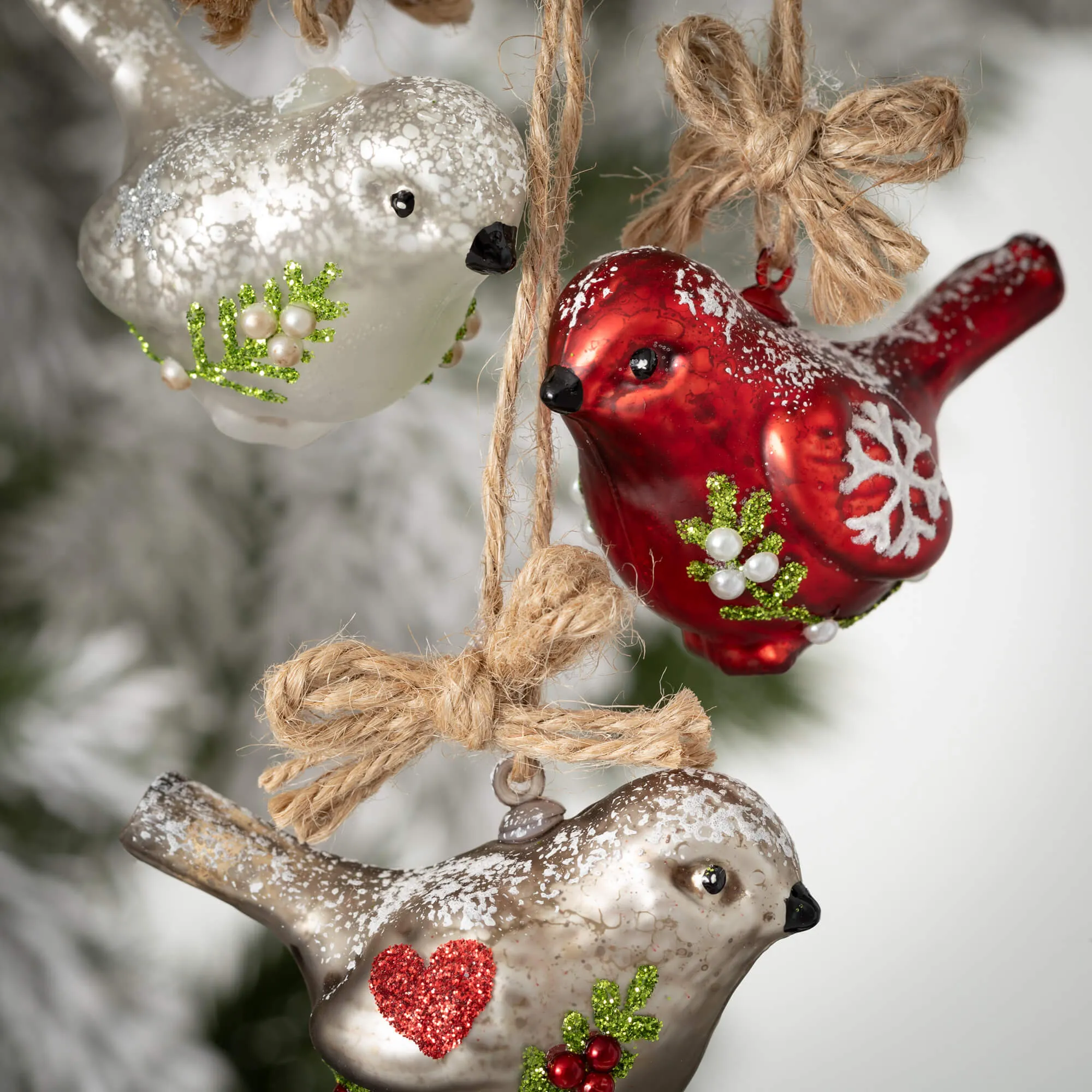 Decorative Bird Ornament Set