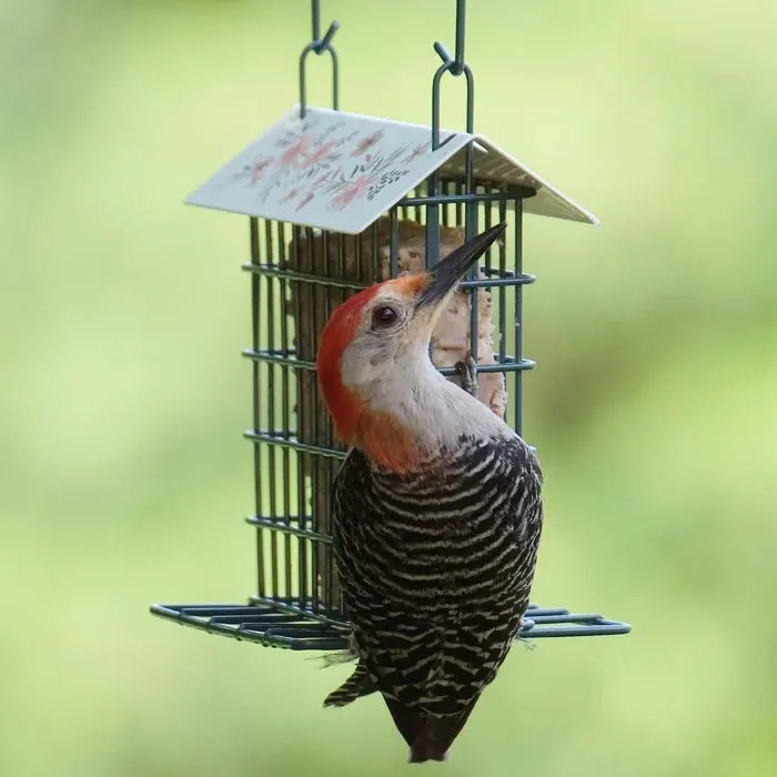 Decorative Metal Suet Cage Bird Feeder