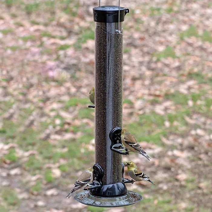 Droll Yankees 18" Onyx Clever Clean Finch Seed Feeder