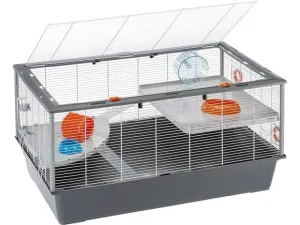 Hamsters 100 Large Cage