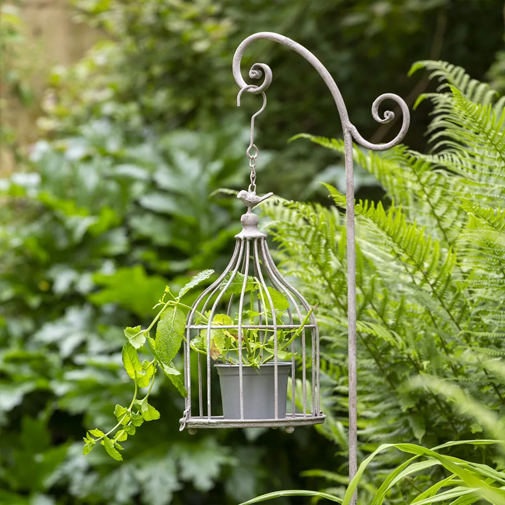 Hanging Bird Cage