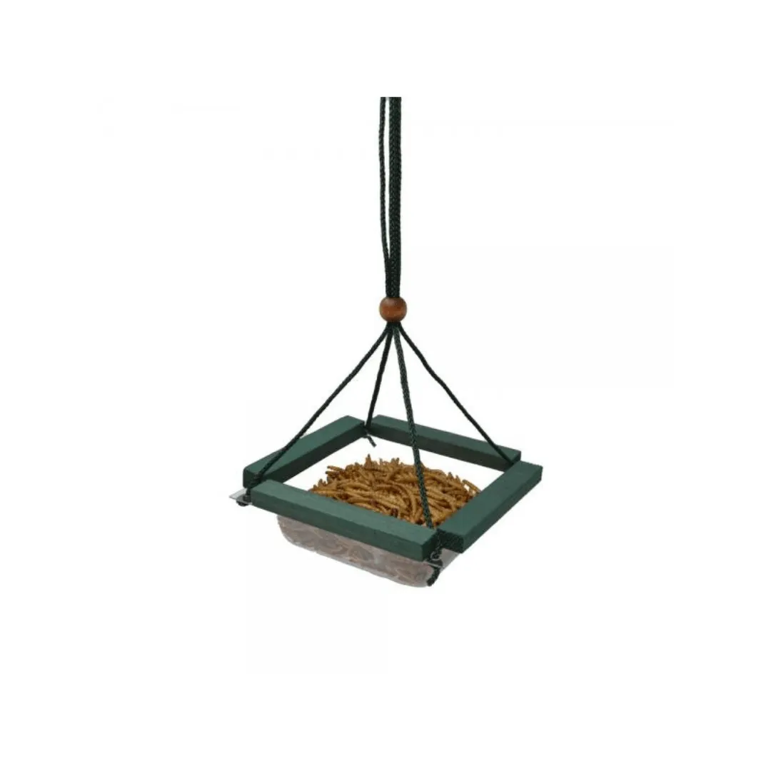 Hanging Mealworm Dish Feeder