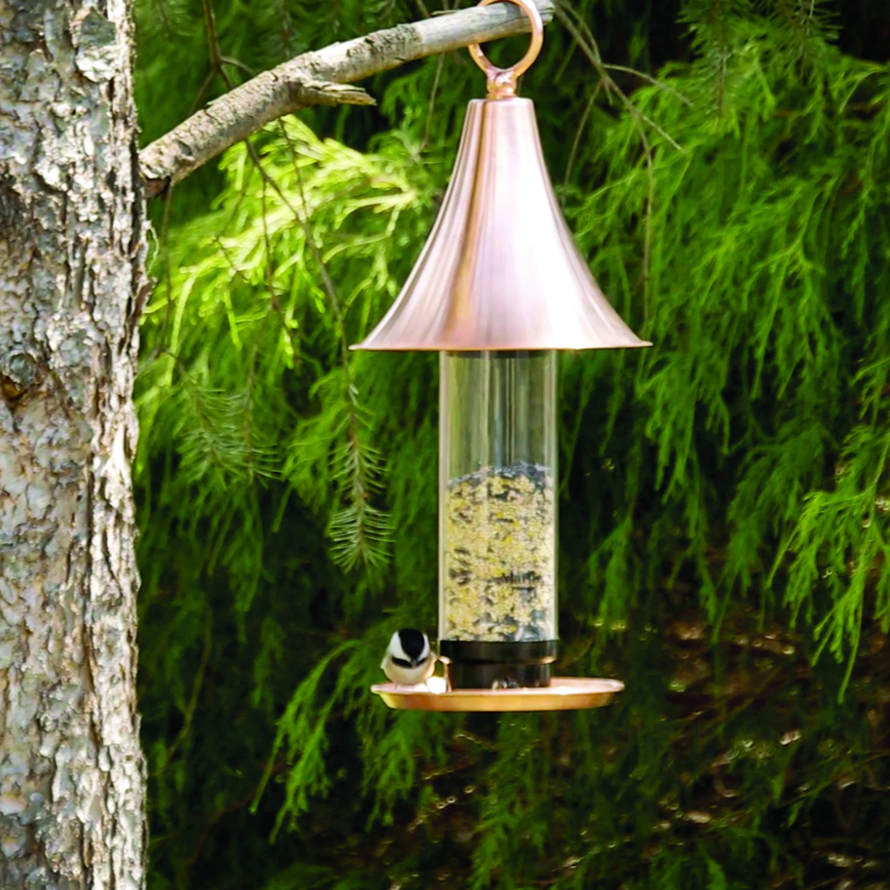 Martha Stewart MTS-CBF1 Real Copper Bird Feeder w/ 4 Feeding Ports