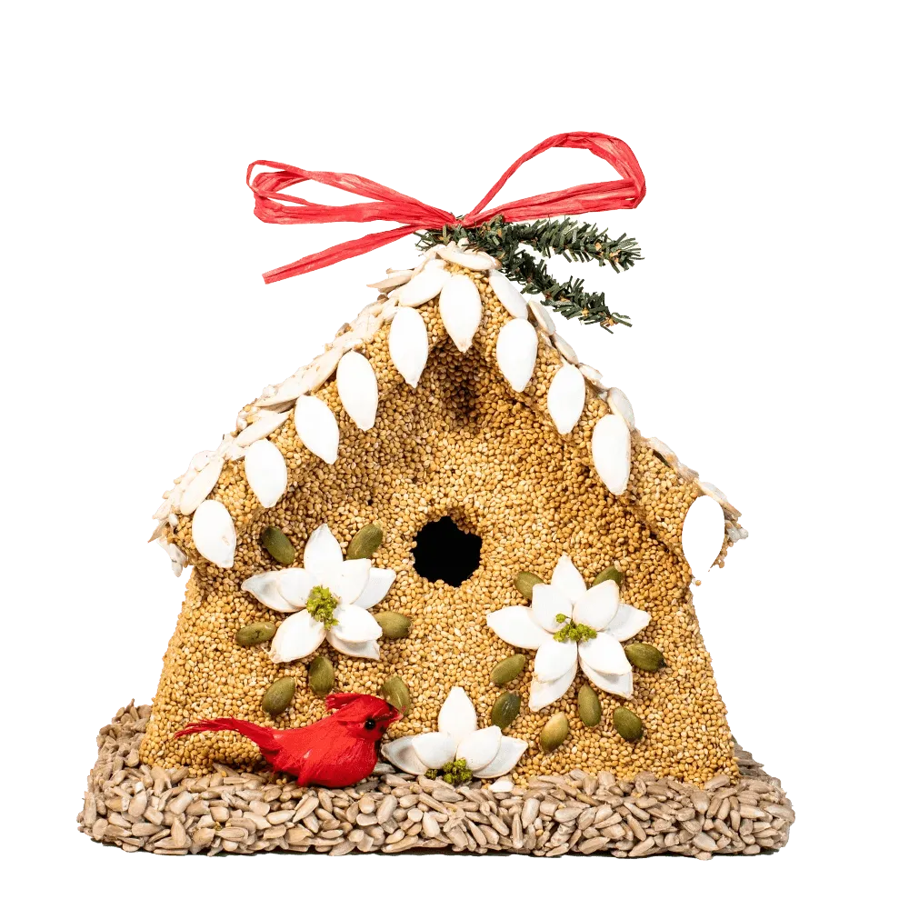 Mr. Bird Poinsettia Bird House - Bird Feeder