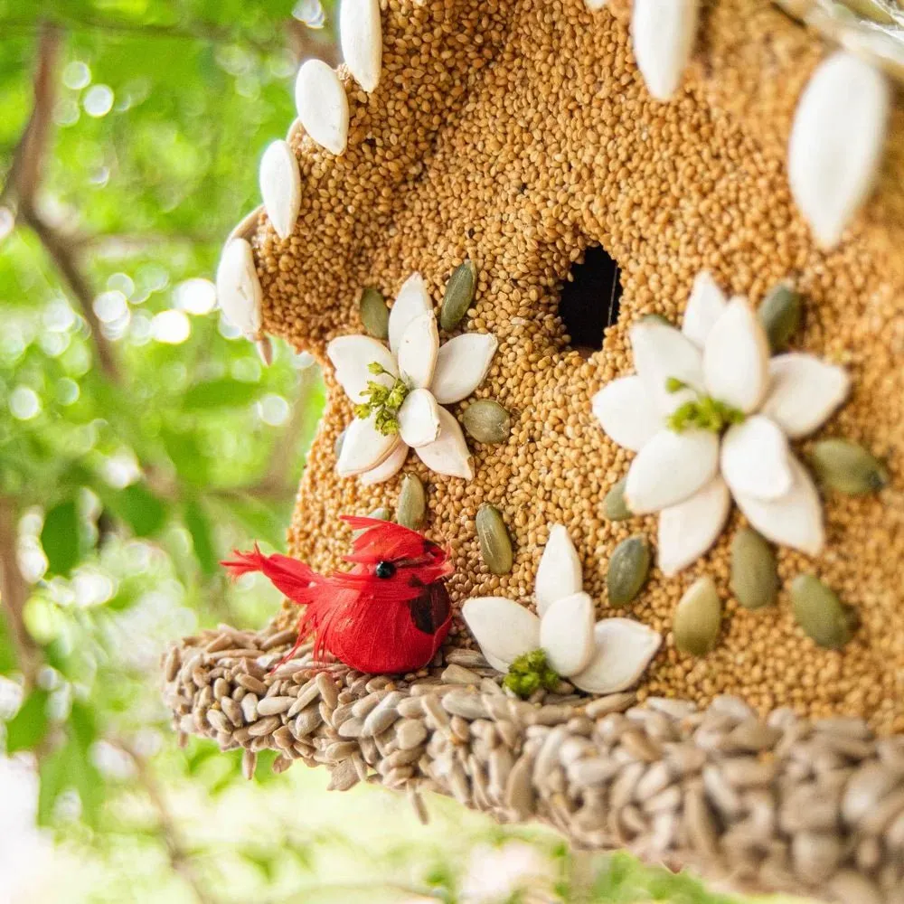 Mr. Bird Poinsettia Bird House - Bird Feeder