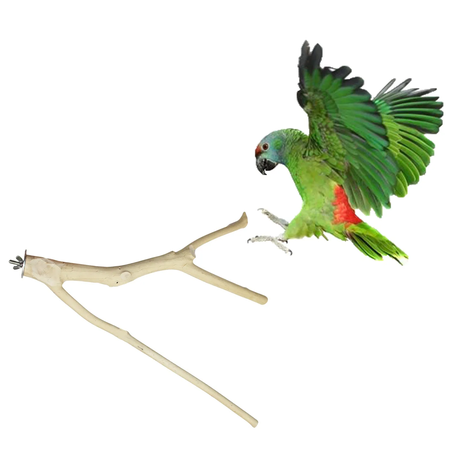 Multi-Branch Perch