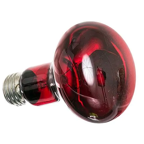 Nocturnal Infrared Lighting System (Clamp Lamp   Bulb)