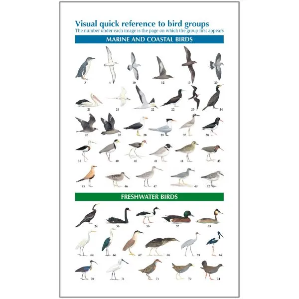 The Compact Australian Bird Guide