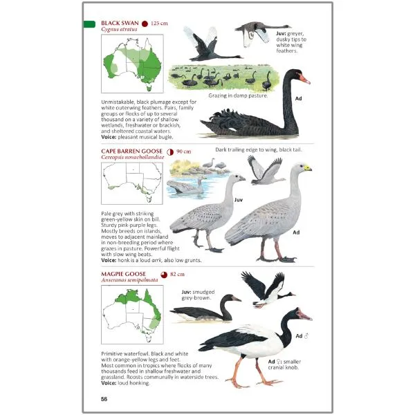 The Compact Australian Bird Guide