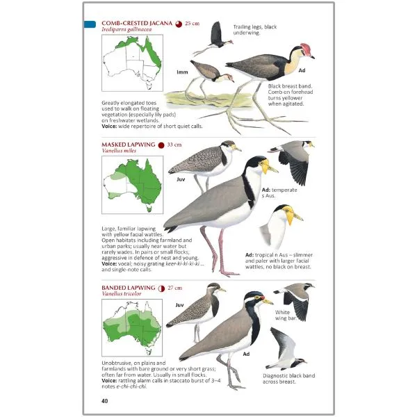 The Compact Australian Bird Guide