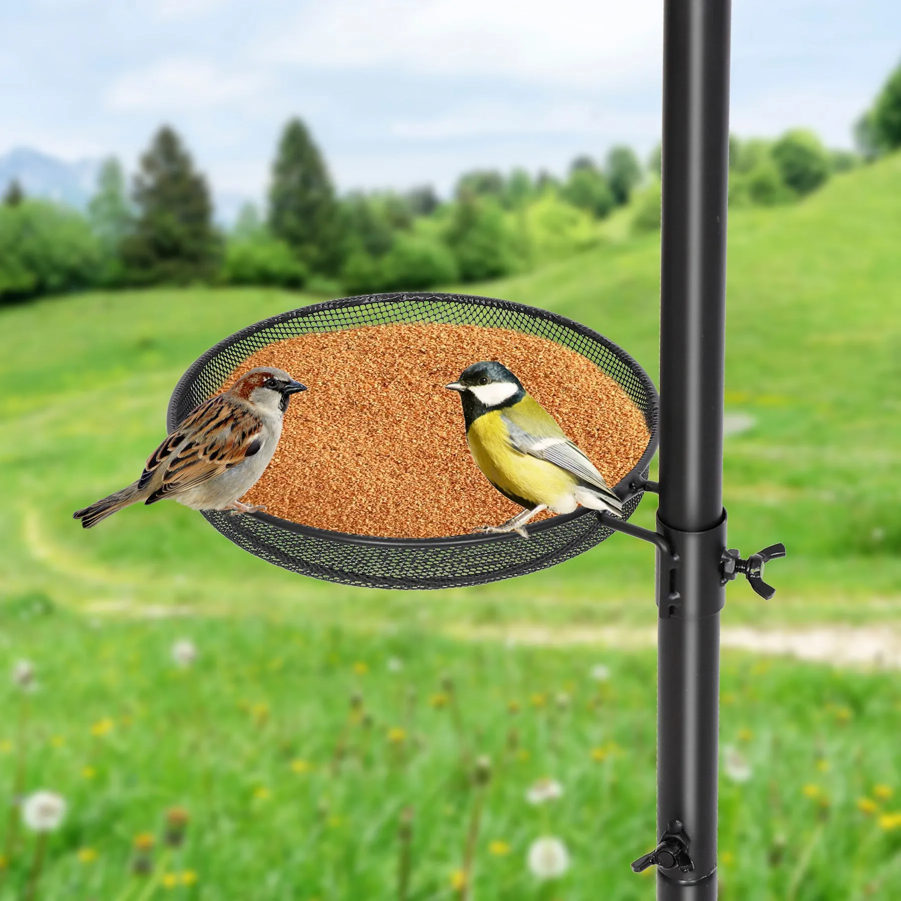 ZENY™ Multi Bird Feeding Station Kit Wild Bird Feeder Pole, 93 Inch Premium Feeder Hanging Kit