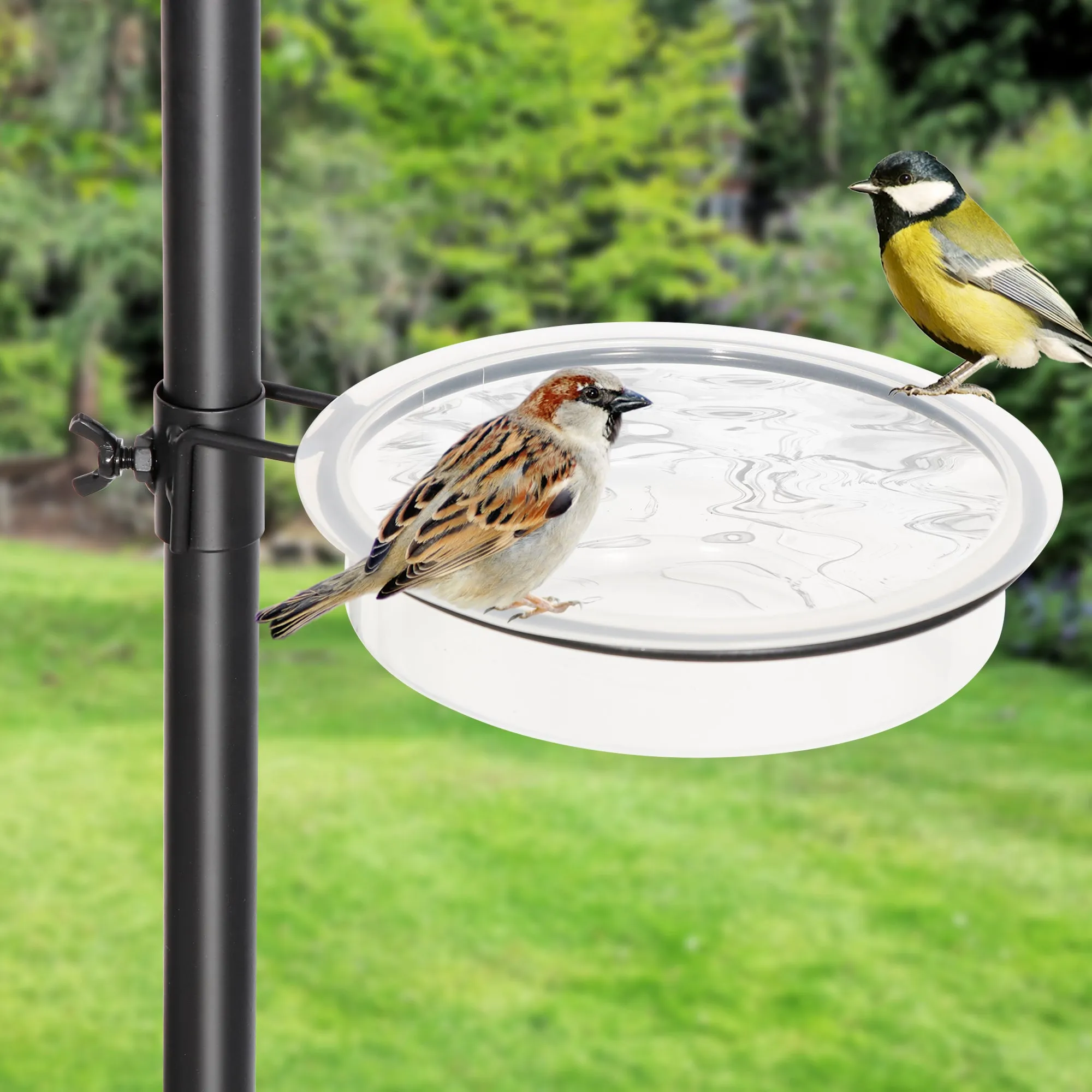 ZENY™ Multi Bird Feeding Station Kit Wild Bird Feeder Pole, 93 Inch Premium Feeder Hanging Kit